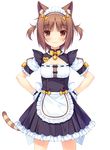  azuki_(sayori) cute nekopara tagme young 