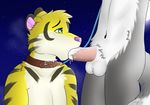  balls camidreamwolf collar cum cum_in_mouth cum_inside feline fellatio leash male male/male mammal oral sex submissive tiger 