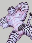  abs animated balls black_penis feline flaccid horn humanoid_penis iceman1984 looking_at_viewer male mammal muscular nipples pecs penis pose red_winds stripes tiger 