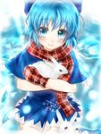  absurdres animal artist_name blue_eyes blue_hair bow bunny capelet cirno dress hair_bow highres holding holding_animal ice ice_wings ichinose_aki looking_at_viewer mittens pom_pom_(clothes) scarf short_hair signature smile solo touhou wings 