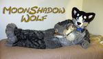  bed canine collar fursuit lostwolf123 male mammal moonshadow_wolf photo pillow plushie solo wolf 