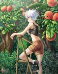  1boy apple blush boots child food fruit hunter_x_hunter killua_zoldyck male_focus outdoors plaster shailo shirt shirt_lift short short_hair shorts sleeveless_shirt solo tree white_hair 