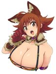  animal_humanoid big_breasts breasts brown_eyes brown_hair canine cleavage clothed clothing female gloves hair humanoid mammal nash_(artist) open_mouth pose skimpy solo tight_clothing wolf wolf_humanoid 