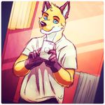  2016 anthro bathroom blue_eyes canine cellphone clothed clothing digital_media_(artwork) fluffy fox front_view fur gloves_(marking) holding_object holding_phone looking_at_viewer male mammal markings orange_fur orithan phone pose seaside_(artist) selfie shirt solo standing white_fur 
