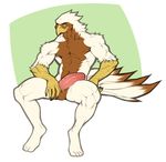  avian brown_fur fur gryphon male nude pose simple_background smug solo spearfrost turz white_fur 