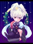  animal bad_id bad_pixiv_id bell bell_collar black_cat cat christmas collar darker_than_black hat mao_(darker_than_black) ponytail purple_eyes santa_hat silver_hair solo star yin yuzuki_kisa 