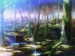  forest light_rays moss nature no_humans original rock scenery shade sunbeam sunlight tamasiro528 tree tree_shade water 