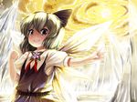  blue_eyes blue_hair bow cirno danbo_(rock_clime) flower hair_bow ice ribbon short_hair smile solo touhou wings 