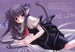  air animal_ears catgirl patoto tohno_minagi 