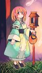  anarogumaaa hitodama japanese_clothes kimono lantern pink_eyes pink_hair saigyouji_yuyuko solo stone_lantern touhou wide_sleeves 