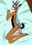  2016 antelope anthro breasts female gazelle horn lying mammal nude on_side simple_background solo ukabor 