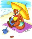  2016 ball beach beach_ball beach_umbrella brown_fur cherushi clothed clothing fur green_eyes happy looking_at_viewer male mammal mustelid otter outside seaside smile solo topless 