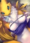 anthro breasts digimon female kane780302 looking_at_viewer renamon solo 