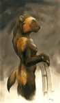  2016 breasts brown_fur female fur mammal mustelid nude scale_(artist) solo wolverine 