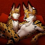  2016 ambiguous_gender anthro cherushi collar feline feral looking_at_viewer lying male mammal nude on_back one_eye_closed serval 