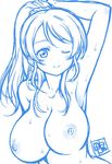  ;) arm_behind_head armpits ayase_eli blue blush body_blush breasts closed_mouth collarbone hair_ornament hair_scrunchie kamogawa_tanuki large_breasts lips long_hair love_live! love_live!_school_idol_project monochrome nipples nude one_eye_closed ponytail scrunchie sidelocks signature sketch smile solo sweat upper_body 