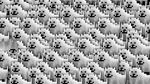  absurd_res annoying_dog_(undertale) canine dog fur group hi_res male mammal toby_fox undertale unknown_artist video_games wallpaper white_fur 