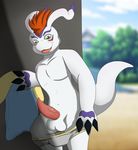  anthro balls blush claws clothing digimon erection fur gomamon looking_down male nude open_mouth outside pecs penis sharp_claws sharp_teeth shirt smile solo standing teeth tongue underwear undressing vein veiny_penis wellek 