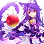  animal_ears apple cat_ears cat_tail collar food fruit kawasaki_toiro long_hair original purple_hair red_eyes solo tail 