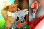  canine cum cum_in_pussy cum_inside eevee female feral feral_on_feral feral_sex feral_vagina fox hyena impregnate impregnating impregnation invalid_tag love_making male male/female mammal nintendo orgasm pok&eacute;mon poochyena romantic_couple sex video_games 