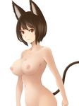  animal_ears breasts brown_eyes brown_hair cat_ears cat_tail groin highres large_breasts light_smile looking_at_viewer navel nipples noda_eishi nude original shiny shiny_skin short_hair simple_background solo tail white_background 