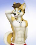  2016 anthro canine cute dog dog_tags fur hair husky jamesfoxbr lineless male mammal open_mouth simple_background smile solo standing teeth tongue 