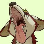  aroxxis canine dog drooling fennec fox junga mammal open_mouth predator saliva teeth throat tongue 