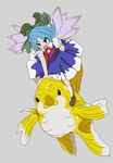  blue_eyes blue_hair bow cirno dress fins fish green_bow hair_bow ice ice_wings open_mouth oshouyu_tabetai puffy_short_sleeves puffy_sleeves red_ribbon ribbon riding shoes short_hair short_sleeves simple_background touhou white_legwear wings 