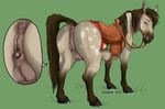  2015 anatomically_correct anatomically_correct_pussy animal_genitalia animal_pussy anus blue_eyes bridle clitoral_winking clitoris digital_media_(artwork) equine equine_pussy eris_(marefurryfan) female feral green_background hooves horse incorgnito looking_back mammal pussy pussy_juice simple_background solo teats 