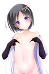  areolae black_hair breast_hold breasts bug covering covering_breasts doburoku_(daiginjou) dragonfly elbow_gloves gloves head_tilt highres insect looking_at_viewer navel odaki_(oshiro_project) open_clothes oshiro_project purple_eyes pussy revision short_hair small_breasts solo 