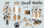  2_heads canine collie dog feral fur male mammal model_sheet multi_head shredvenita taur 