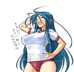  blue_hair breasts breath_of_fire breath_of_fire_iii deis dr.p hand_on_hip large_breasts long_hair pointy_ears school_swimsuit solo source_request swimsuit translated white_background 