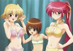  mahou_shoujo_lyrical_nanoha ribbons shamal signum swimsuit yagami_hayate 