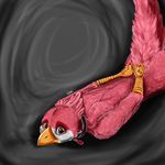  avian avian_(starbound) beak brown_eyes collar digital_media_(artwork) feathers looking_at_viewer lying male nariikomamura nude red_feathers simple_background starbound talons video_games 