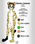  2016 animal_genitalia anthro art_reference balls cheetah darius_cannon dink_arts feline fur hair looking_at_viewer male mammal model_sheet nude sheath solo standing 