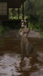  2016 anthro black_hair breasts brown_fur canine eyes_closed female fur furstang hair mammal nature navel nipples nude outside solo standing water 