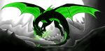  black dragon green green_eyes poison white 