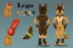  absurd_res anatomically_correct anatomically_correct_penis animal_genitalia animal_penis anthro balls brown_fur brown_hair canine canine_penis chest_tuft collar cub dog fur hair hi_res knot legoiceking_furditore male mammal model_sheet multicolored_fur mushbun nude paws penis ponytail sheath simple_background solo tailband tuft young 