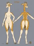  &lt;3 anthro breasts butt ecmajor edit female giraffe green_eyes hi_res hooves looking_at_viewer mammal model_sheet navel nipple_piercing nipples nireba_(kyvinna) piercing pussy solo text wide_hips 