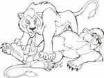  balls blaquetygriss erection feline feral licking lion male male/male mammal oral penis sketch tongue tongue_out 