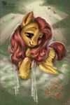  2015 avian bird cloud equine feathered_wings feathers female feral fluttershy_(mlp) friendship_is_magic fur green_eyes hair hi_res mammal my_little_pony obpony pegasus pink_hair portrait sky smile solo sun wings yellow_feathers yellow_fur 