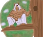  5_fingers abs anthro branch clothed clothing crouching fan hair half-closed_eyes kingdomheartskeeper kingdomxathers leaves long_nose looking_at_viewer looking_down low-angle_view male muscular muscular_male nintendo pants pecs plant pointy_ears pok&eacute;mon pok&eacute;morph shiftry solo tengu topless tree video_games white_hair 