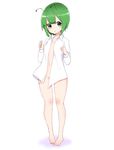  antennae bare_legs barefoot blush bottomless dress_shirt flat_chest full_body green_eyes green_hair highres long_sleeves looking_at_viewer naked_shirt navel no_bra open_clothes open_mouth open_shirt saple shirt short_hair simple_background solo touhou white_background wriggle_nightbug 