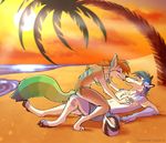  beach bikini blue_fur blue_hair brown_fur canine clothing dog ear_piercing eyes_closed fox fur galeb hair jewelry lying mammal multicolored_fur multicolored_tail necklace on_top orange_hair palm_tree piercing seaside shorts sitting sun swimsuit tree two_tone_fur water white_fur wolf 