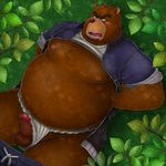  balls bear blush clothed clothing colored erection fundoshi japanese_clothing juuichi_mikazuki male mammal morenatsu pants_down partially_clothed penis simple_background solo underwear unknown_artist 