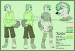  balls canine clothed clothing dog dtalvi erection fur green_hair green_penis hair hoodie male mammal model_sheet multicolored_fur nude pants penis pink_fur solo standing two_tone_fur xonby 