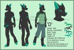  black_fur black_hair canine clothed clothing d_(dtalvi) dog dtalvi erection fur green_fur hair male mammal model_sheet multicolored_fur nude pants penis shirt solo standing two_tone_fur 