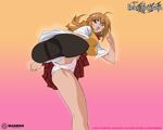  ikkitousen sonsaku_hakufu tagme 