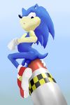  a2 anal bad_idea balls male missile penis solo sonic_(series) sonic_the_hedgehog video_games 