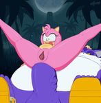 2016 abdominal_bulge amy_rose anal anal_penetration anthro balls big_the_cat breasts cat duo erection excito feline female hedgehog male mammal nude penetration penis pussy sonic_(series) 